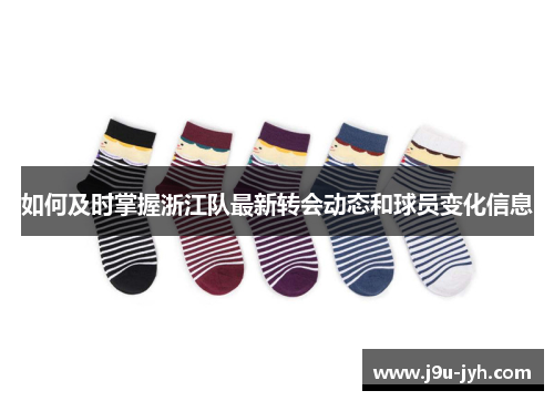 如何及时掌握浙江队最新转会动态和球员变化信息