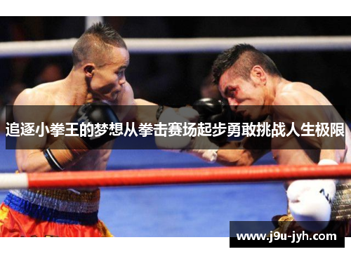 追逐小拳王的梦想从拳击赛场起步勇敢挑战人生极限