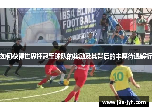 如何获得世界杯冠军球队的奖励及其背后的丰厚待遇解析